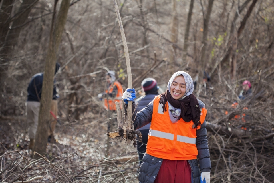 A volunteer wearing a safety vest holds up a large root that she's removed from the ground.