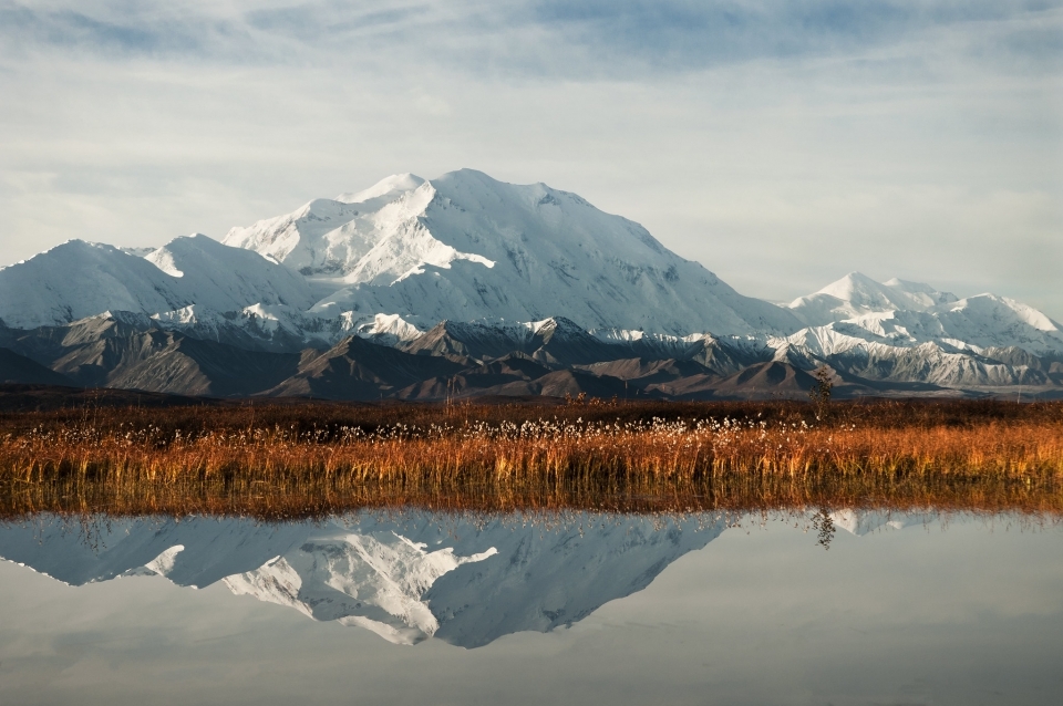 A snowy Denali peak can be seen in the distance. In the midground, a meadow of orange autumnal foliage. All this reflects in a still pool in the foreground
