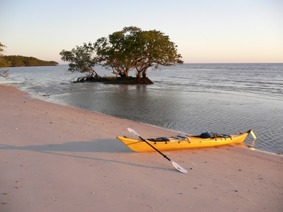 A yellow canoe rests on a sandy shore next to water in Everglades National Park