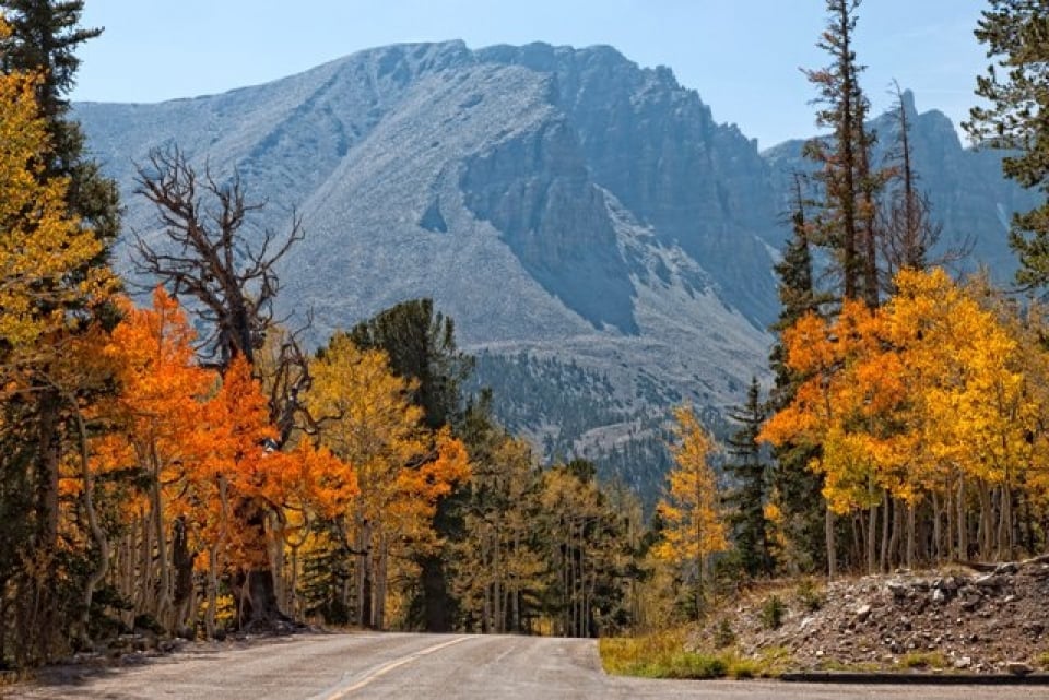 Driving route through Great Basin National Park