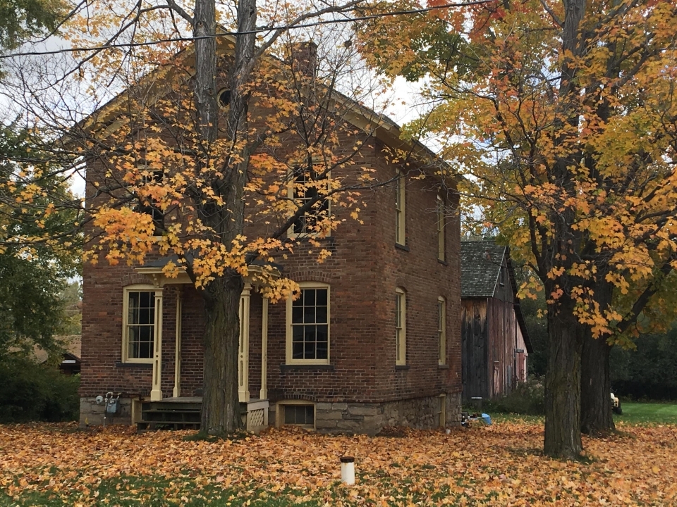 Brick building of Harriet Tubman residence surrounded by the yellow leaves of fall foliage at Harriet Tubman National Historical Monument