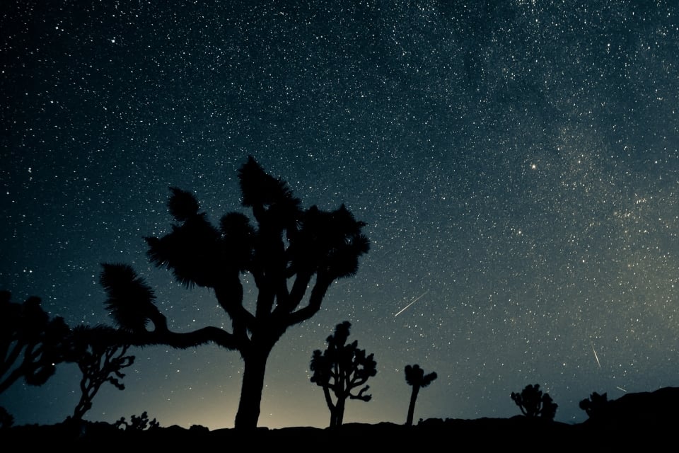 Shooting stars and twinkling stars over Joshua Tree National Park