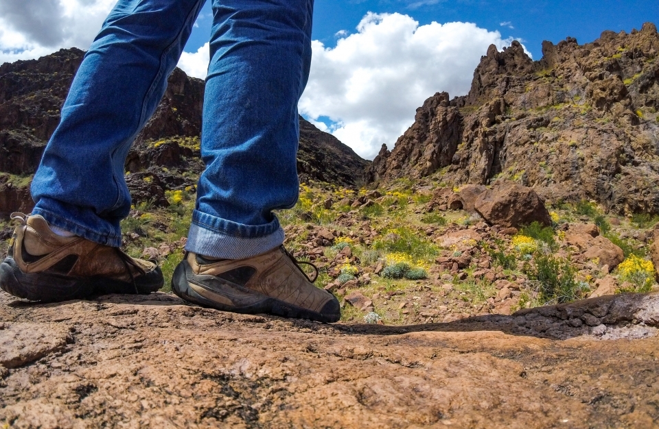 Ground level view of hikers shoes, yellow wildflowers rocky geologic formations and cloudy sky in distance