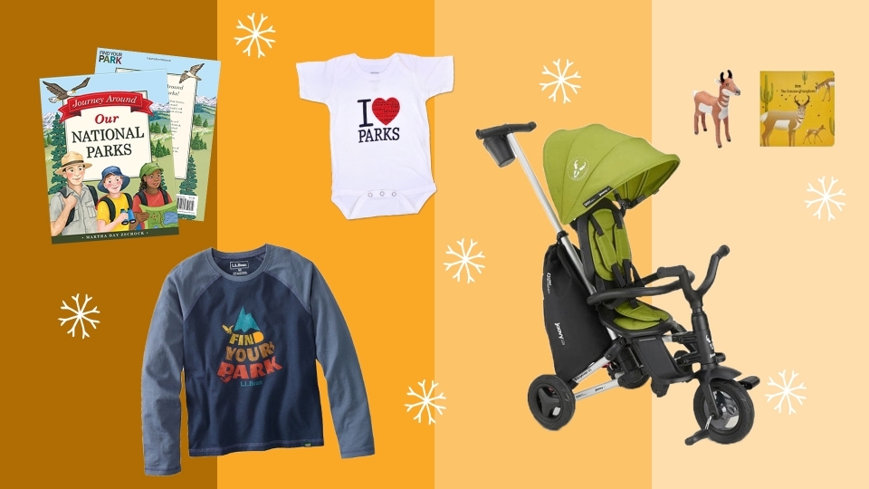 Collage of images of products listed below, including a stroller, plush toy and book set, a book, a long-sleeve tshirt, and a onesie