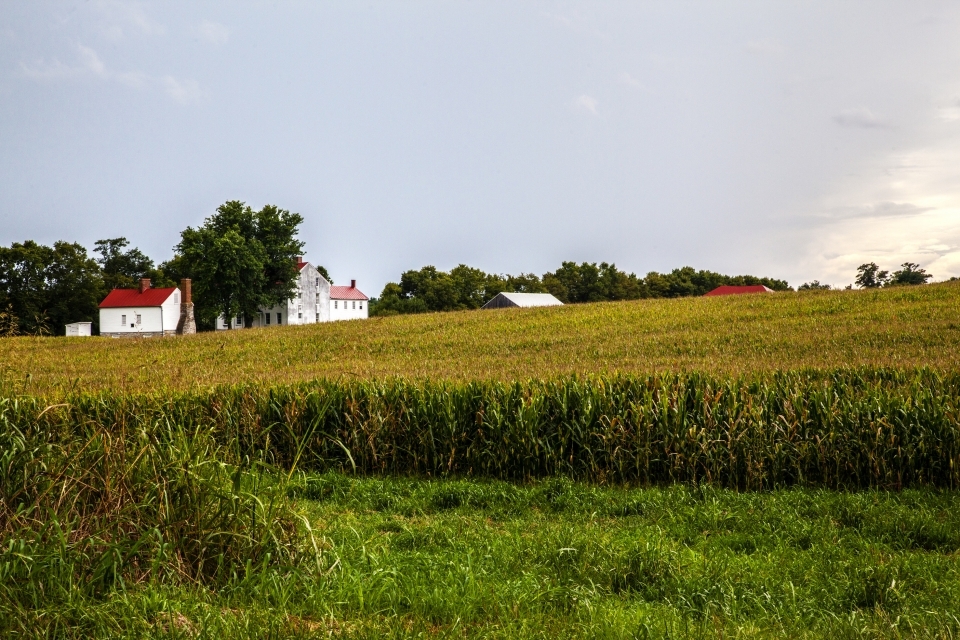 A couple of farm houses sit on the far end of an open field.