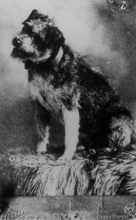 Vintage photograph of a scruffy dog tilting his head, smiling with his tongue out