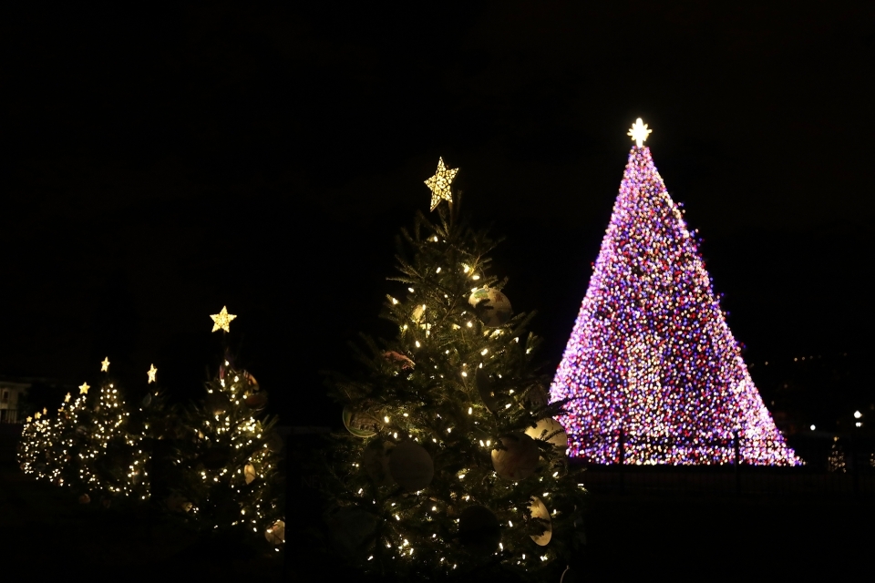2020's National Christmas Tree and part of the America Celebrates display