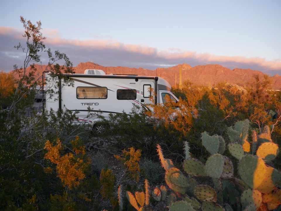 An RV parked in a park during a orange-purple sunset, surrounded by green cacti