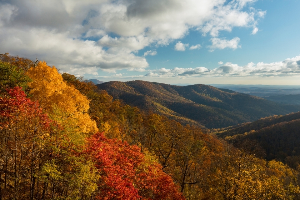Bright red and yellow trees frame this view of a forested mountain ridge with a valley beyond.