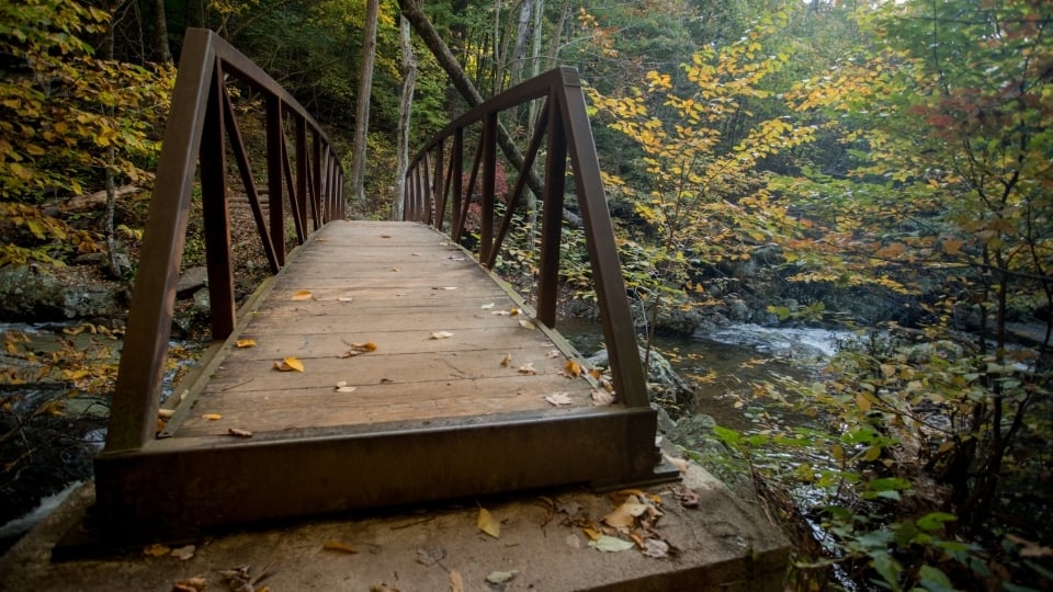 Autumnal leaves sprinkle the ground and a wooden bridge that crosses over a calm creek.