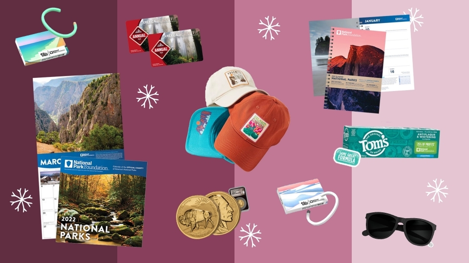 Collage of images of products listed below, including bracelet, commemorative coins, sunglasses, park passes, toothpaste, hats, calendar, and planner