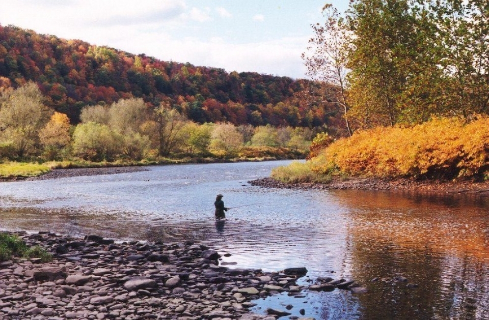 A park visitor stands in a calm river, fly fishing, in autumn