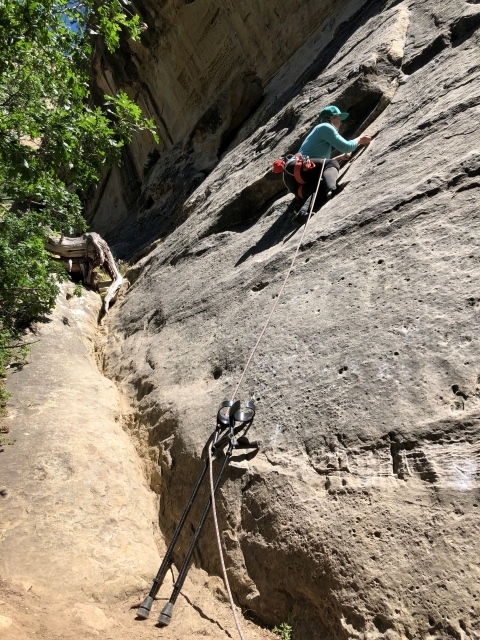 Nerissa Cannon rock climbing