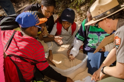 Students and ranger dig into a box of sand