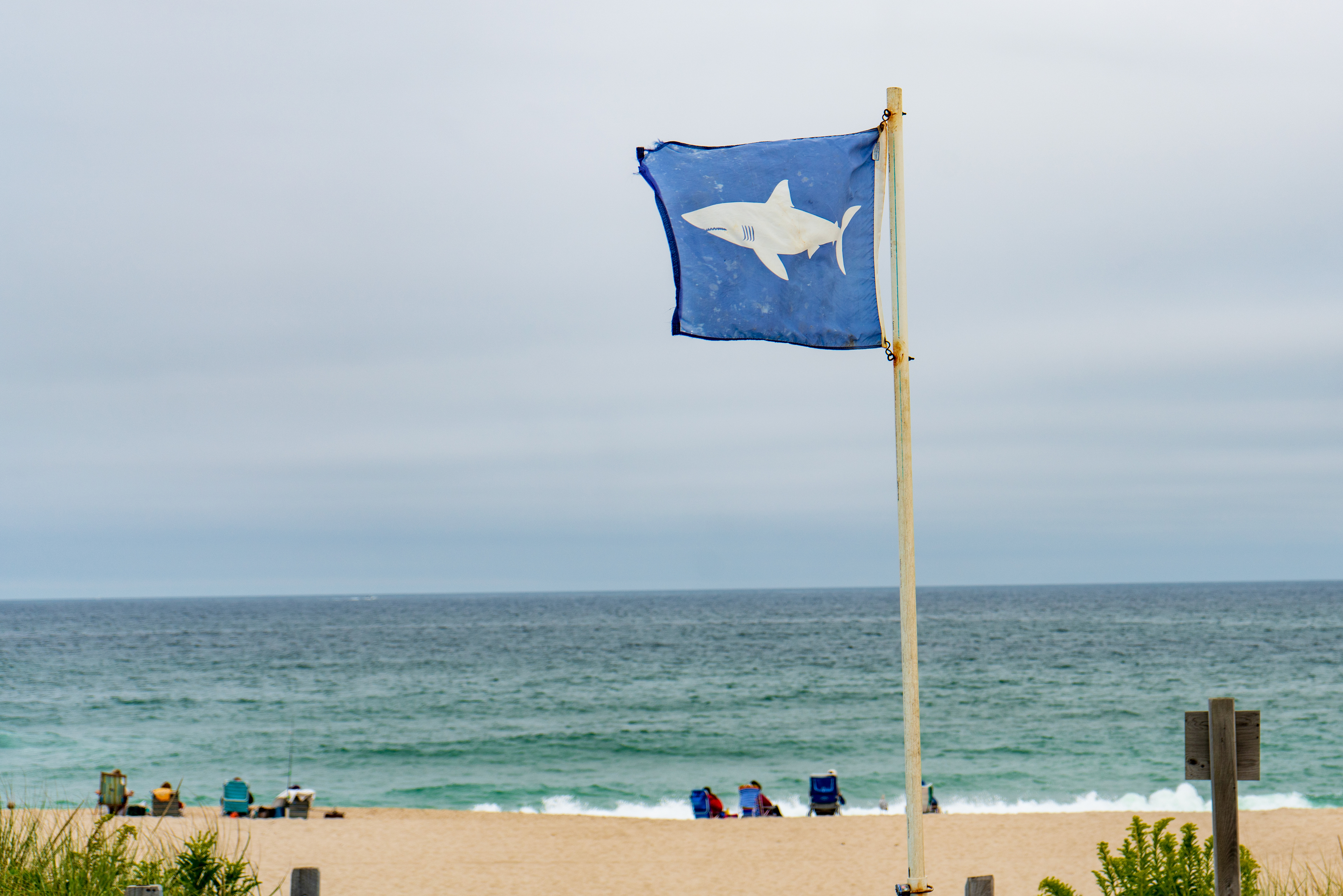Shark danger flag flying along the Atlantic coast