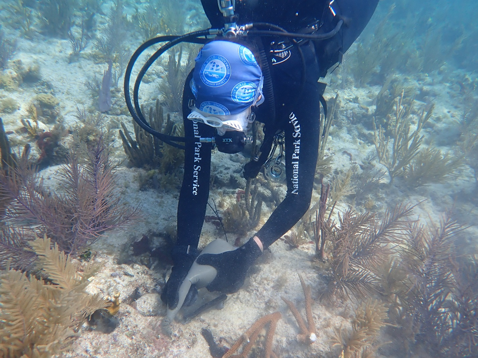 Preparing cement to outplant coral at Biscayne National Park